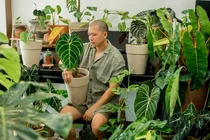 Chàng trai Sài Gòn chi 300 triệu mua kiểng lá đột biến để trang trí nhà