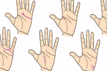 3 đường chỉ tay cực phẩm tụ tài tụ lộc ai có được giàu có viên mãn