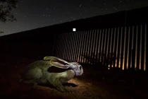 Chiêm ngưỡng những bức ảnh thiên nhiên ấn tượng năm 2020