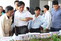 Tận mắt ngắm cá dĩa beo da rắn, trắng bạch kim đẹp long lanh