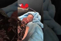 Video: Em bé vừa ra đời đã nắm chặt tay người lớn