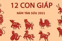 Những tháng vận hạn của 12 con giáp trong năm Tân Sửu 2021