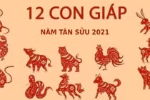 Những tháng vận hạn của 12 con giáp trong năm Tân Sửu 2021