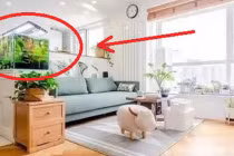 Nhà chật hẹp đến mấy cũng nên có món đồ này, vừa hút lộc lại chiêu tài