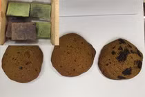 Vì sao giới trẻ lại ưa sử dụng cần sa?