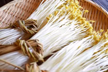 Video: Vì sao giá đỗ khổng lồ Nhật Bản dài 40 cm có giá đắt đỏ?