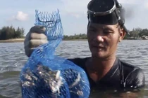 Gian nan nghề "chồng đập, vợ gỡ" ở Trà Bồng