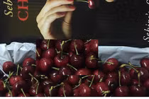 Loạn giá cherry nhập ngoại tại Hà Nội ngày cận Tết