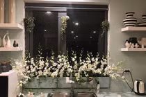 Mẹ đảm khoe "vườn hoa" độc đáo trên cửa sổ bếp gây bão