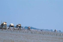 Tin nóng ngày 13/3: Thi thể nam giới trói tay chân, buộc đá ở bãi ngao