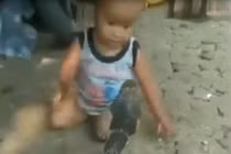 Video: Bé trai tát, túm đầu hổ mang chúa không chút sợ hãi