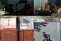 Tin nóng 13/8: Cướp tiệm vàng ở Quảng Nam, đến nhà trưởng công an ở Đà Nẵng đầu thú