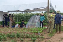 Vụ 3 mẹ con giáo viên mất tích ở Hải Dương: Tìm thấy 1 thi thể 