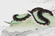 Tháng 7 - 8 - 9/2022: 3 con giáp tay trái có vàng, tay phải có bạc 