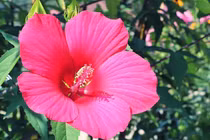  Ai sinh tháng Âm lịch này cuộc sống vất vả, con cái thành danh, về già hưởng phúc