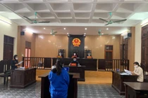 Hải Dương: Người mẹ hành hạ con dẫn đến tử vong lĩnh án