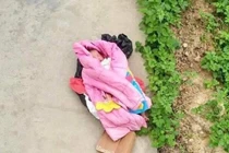 Hải Dương: Bé gái sơ sinh đẹp như thiên thần bị bỏ rơi ven đường