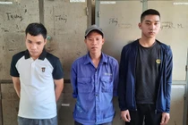 Điều tra một số nhân viên Công ty Ford Việt Nam dùng bằng giả