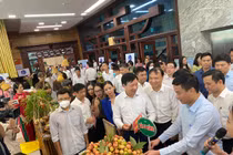 Hải Dương: Đẩy mạnh xúc tiến tiêu thụ vải thiều, người dân phấn khởi...“được mùa, được giá“