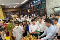 Hải Dương: Đẩy mạnh xúc tiến tiêu thụ vải thiều, người dân phấn khởi...“được mùa, được giá“