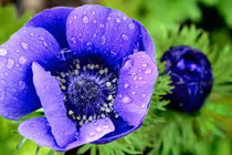 Sinh tháng Âm lịch này là người mạnh mẽ, cay đắng nào cũng vượt qua