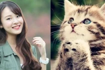 Trời định: 4 con giáp bề trên độ trì, Thần Tài sủng ái 3 năm tới