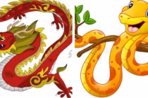 Tuần mới (30/5-5/6): 2 con giáp may mắn ngập tràn, 2 con giáp xui xẻo rình rập