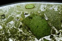 “Thây ma” nửa tỉ năm chui vào lòng Trái Đất