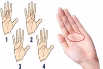 Người có một trong các tướng tay này là người biết giữ tiền