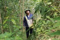 Lộc trời 1 năm chỉ nở 1 lần, muốn hái phải liều nhưng kiếm bộn