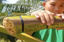 Nghề ở Việt Nam kiếm được tiền triệu nhưng thiếu người làm