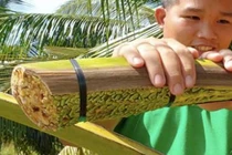 Nghề ở Việt Nam kiếm được tiền triệu nhưng thiếu người làm