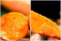 Bí quyết hấp khoai lang ngon không phải ai cũng biết