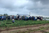 Vụ nữ giáo viên ôm 2 con nhảy sông Thái Bình: Chi tiết gây ám ảnh 