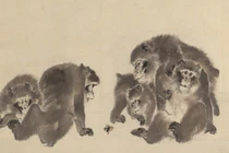 Tử vi tuần mới, 3 con giáp lộc về như thác, may mắn ngập tràn