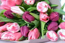 Cuối tháng 7, 3 con giáp hưởng trọn lộc trời, rủng rỉnh tiền bạc