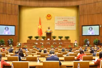 22 Bí thư Tỉnh ủy được bầu làm Chủ tịch HĐND tỉnh, thành phố