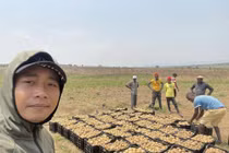 Quang Linh Vlog bội thu trên mảnh đất cằn cỗi ở châu Phi