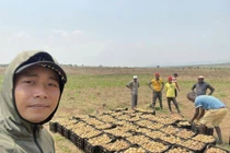 Quang Linh Vlog bội thu trên mảnh đất cằn cỗi ở châu Phi