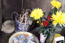 Tin nóng ngày 10/9: Sự thật “bạch xà” xuất hiện tại đình làng Bắc Giang