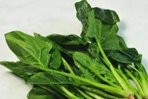 Nhắc người bị bệnh dạ dày ăn càng nhiều 5 loại thực phẩm này càng tốt