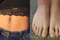 Dù là nam hay nữ, có 4 vị trí lông càng mọc nhiều càng phát tài