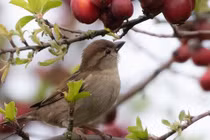 Ai có giờ sinh này yêu tiền quá mức, kiếm tiền vượt bậc, số mệnh giàu sang