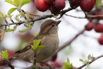Ai có giờ sinh này yêu tiền quá mức, kiếm tiền vượt bậc, số mệnh giàu sang