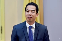 Thứ trưởng Bộ Ngoại giao Tô Anh Dũng bị đề nghị kỷ luật