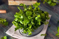 Lợi ích tuyệt vời của rau xà lách xoong đối với sức khỏe của trẻ nhỏ