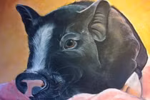 Top 3 con giáp xui xẻo nhất tuần mới (16 - 22/5), vận trình ảm đạm