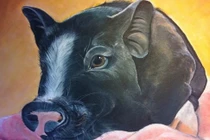 Top 3 con giáp xui xẻo nhất tuần mới (16 - 22/5), vận trình ảm đạm