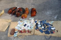  Cảnh sát đột kích ổ cờ bạc đá gà “khủng” 