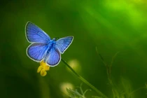 4 con giáp không còn thấy cô đơn trong mùa thu này